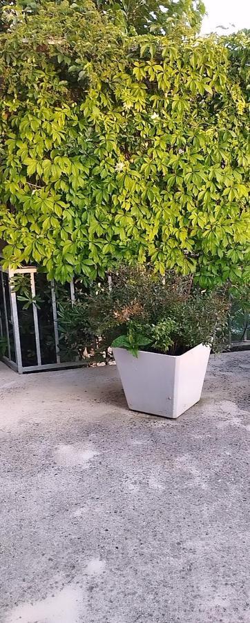 סטוברץ Apartments & Room Paula מראה חיצוני תמונה